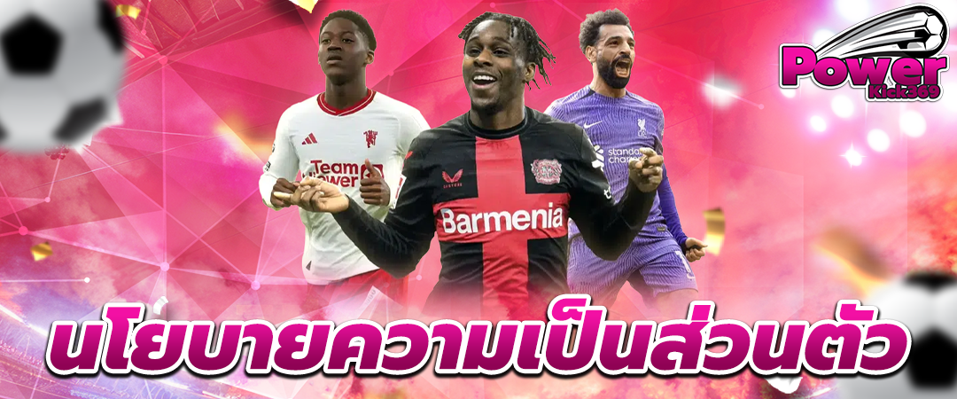 นโยบายความเป็นส่วนตัว